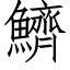 鱭 (仿宋矢量字库)